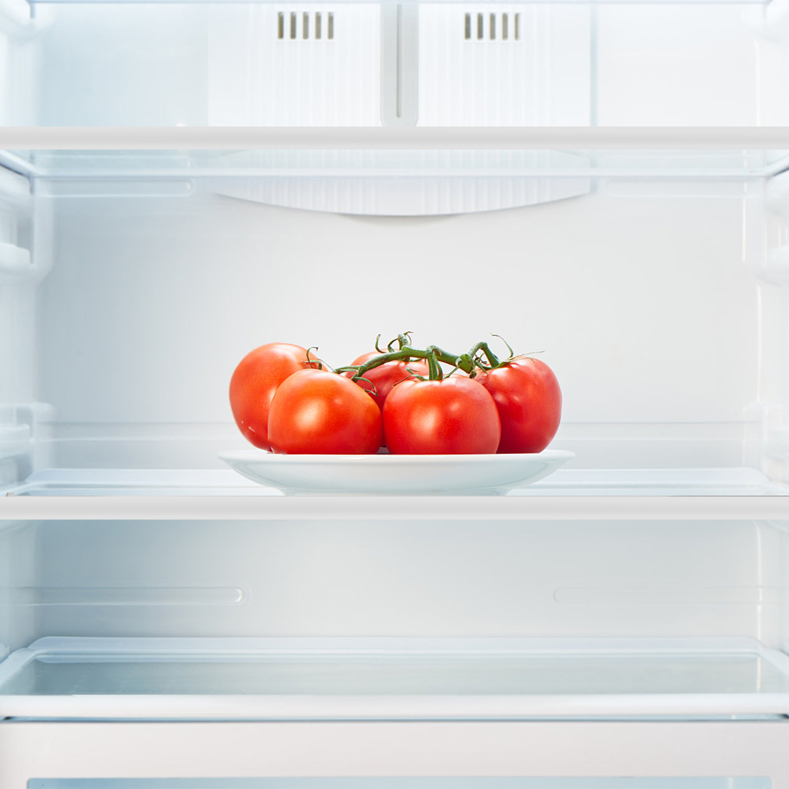 Buzdolabı Cam Raf Bölücü Tempe - Food Storage Glass incelemesi ve fiyatı